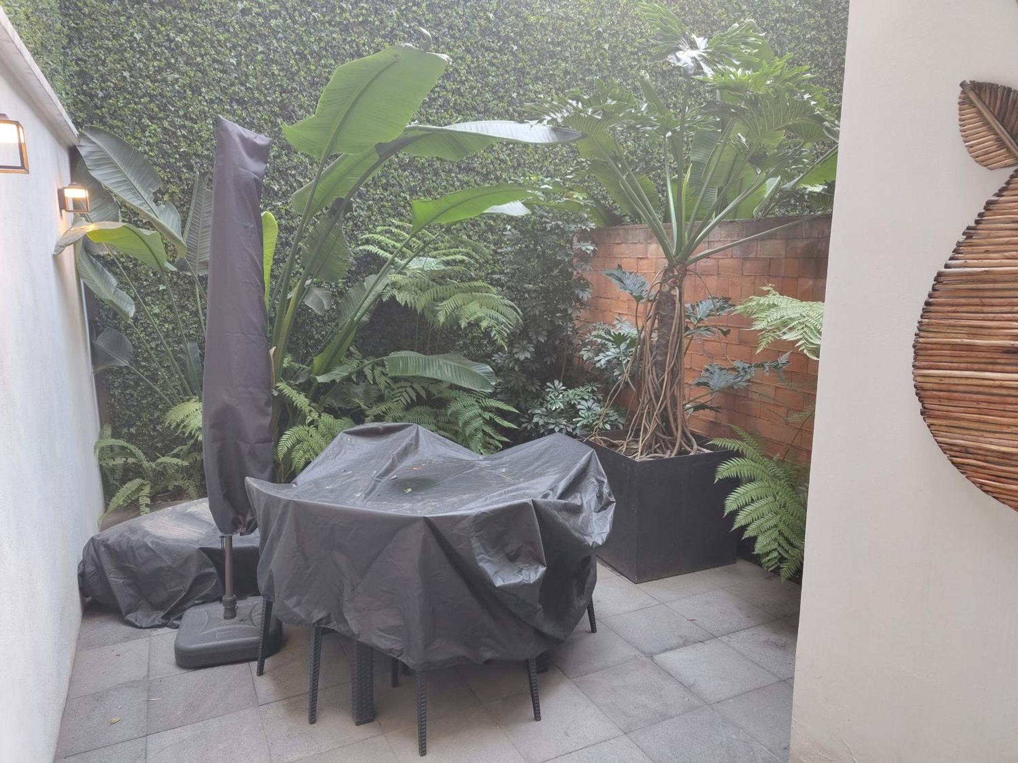 Zamora By Mr W Mexico City Bilik gambar